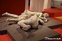 VBS_8981 - Mostra Invito a Pompei